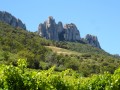 Hike to the Tour des Dentelles de Montmirail