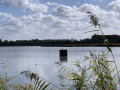 Un coin pittoresque du Borinage et les Marais d'Harchies