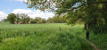 En pleine nature