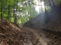 En pleine nature