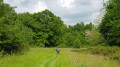 En pleinne nature