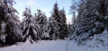 En redescdant du Col du Taurupt