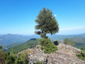 Boucle Padula par le Col de Foce d’Eria depuis Vezzani Boucle Padula par le Col de Foce d’Eria depuis Vezzani