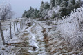 En remontant sur Chaux de Toureyre