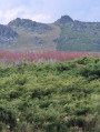 On the way back towards the Golden Bridges, a view of Ушите (the Ears)
