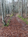 En route pour la balade