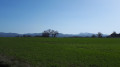 En sortant de St Victor de Malcap