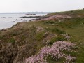Du port de Brigneau par l'Île Percée