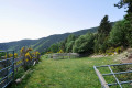 Enclos en bois