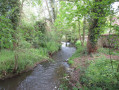 Boucle de Berchères-sur-Vesgre