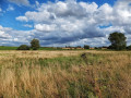 English countryside along the Gipping Valley Path