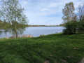 Enten am Ufer des Sees