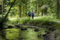 Entlang des Hasenbach