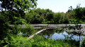 Entre Balise 5 et 6 Entre Balise 5 et 6