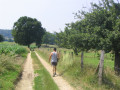 Entre bocage et forêt Entre bocage et forêt