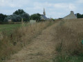 Entre champs de blé et pré