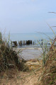 Entre Ver-sur-Mer et Asnelles : plage, dune, marais, mémorial...