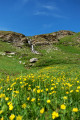 Entre fleurs et cascade Entre fleurs et cascade