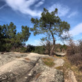 Entre Fromenteyrol et Saint-Julien-du-Serre
