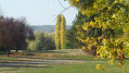 Entre l'étang de Salcys et l'Yonne