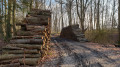 Entre le Parc et la Croix de bois Entre le Parc et la Croix de bois