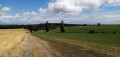Entre les champs