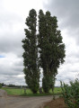 Dans les champs entre Ophain, Lillois-Witterzée et Bois-Seigneur-Isaac