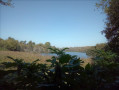 entre marais et marée
