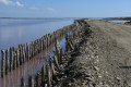 La Camargue et ses étangs