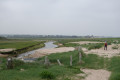 Entre mer et marais Entre mer et marais