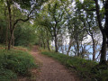 Forêt Domaniale et Aulne maritime à Landévennec Forêt Domaniale et Aulne maritime à Landévennec
