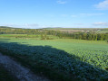 Vallée des Évoissons au départ de Bergicourt