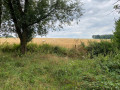 Boucle champêtre et forestière à Nalinnes