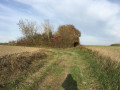 Entrée chemin arboré