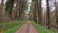Entrée dans la forêt de Fabas Entrée dans la forêt de Fabas