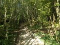 Entrée dans la foret qui conduit au point 9