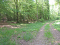Sentier d'En Nachot à Avot