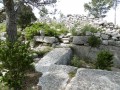 L'Oppidum des Bringasses