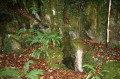 Entr&eacute;e de la Grotte des Coumates