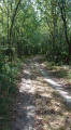 Entrée du "bois du seigneur"