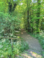 Entrée en forêt de Morval