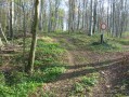 Entrée en Forêt