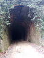 Entrée tunnel...