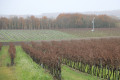 Eolienne pour éviter le gel des vignes Eolienne pour éviter le gel des vignes