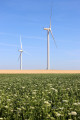 Eoliennes en campagne berrichonne du côté de Paudy