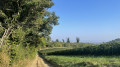 Boucle entre Blanot et Cortambert