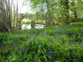 Errigal Glen Trail - Garvagh