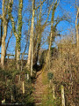 Escalier de pierres dans le Sentier des Flamanches