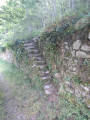 Escalier de vigne