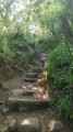 Escaliers